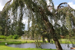 20190807_113342-Grou_2-scaled