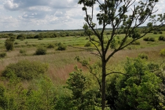20190808_120024-Nationalpark-De-Alde-Feanen_2-scaled
