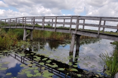 20190808_120738-Nationalpark-De-Alde-Feanen_3-scaled