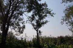 20190827_132532-Eiland-de-Zegge_2-scaled