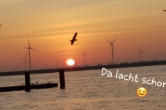20190830_192613-De-Schelp_3-scaled