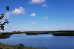 20190702_111811-Nationalpark-Biesbosch_1-scaled