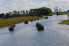 20190702_121035-Nationalpark-Biesbosch_2-scaled