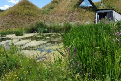 20190702_122528-Nationalpark-Biesbosch_2-scaled