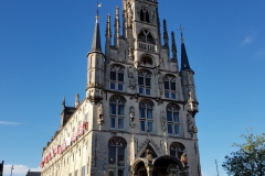 20190705_195626-Gouda_1-scaled