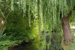 20190708_164457-Gouwe_3-scaled