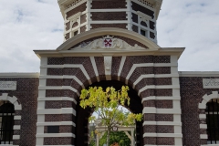 20190709_142436-Leiden_3-scaled