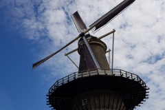 20190709_154007-Leiden_7-scaled
