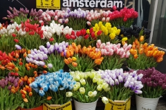 20190711_150735-Blumenmarkt_2-scaled