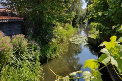 20190723_143810-Stavoren_1-scaled