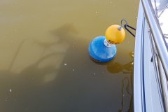 20190725_112638-Nieuwe-Kruispol_3-scaled