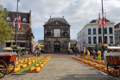 IMG-20190829-WA0010-Gouda_12