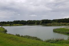 20190907_135126-Heusden_3-scaled