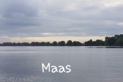 20190907_184037-Mass-scaled